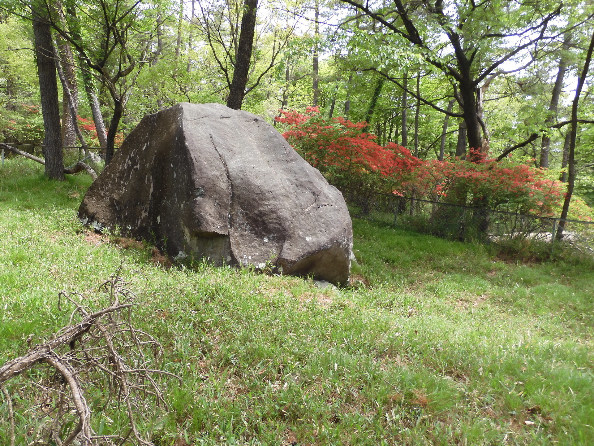 庭石 赤城山の石（櫃石）