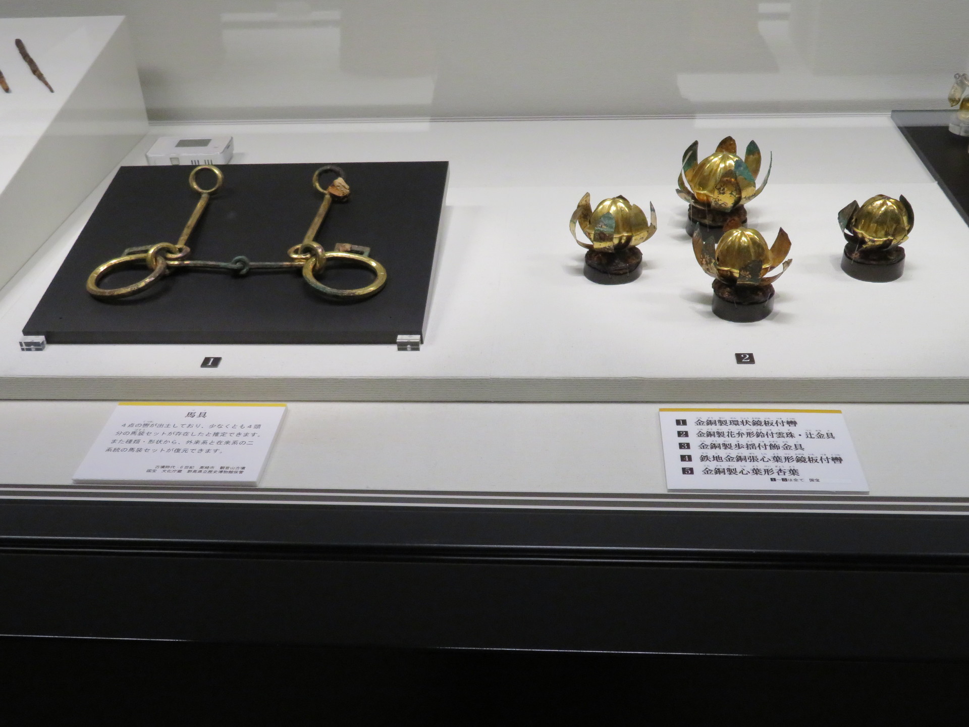 国宝・綿貫観音山古墳の世界: 楽老 国宝・綿貫観音山古墳の世界: 楽老