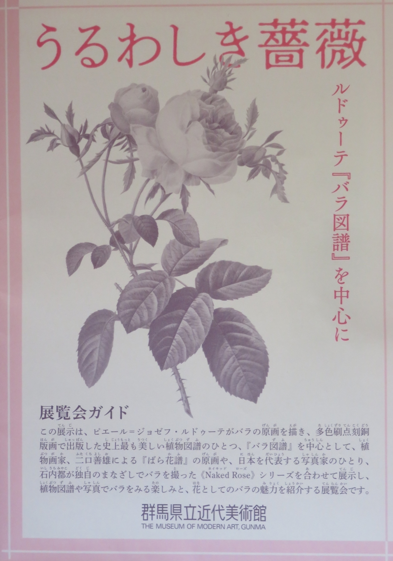 うるわしき薔薇展と岩鼻の花火: 楽老