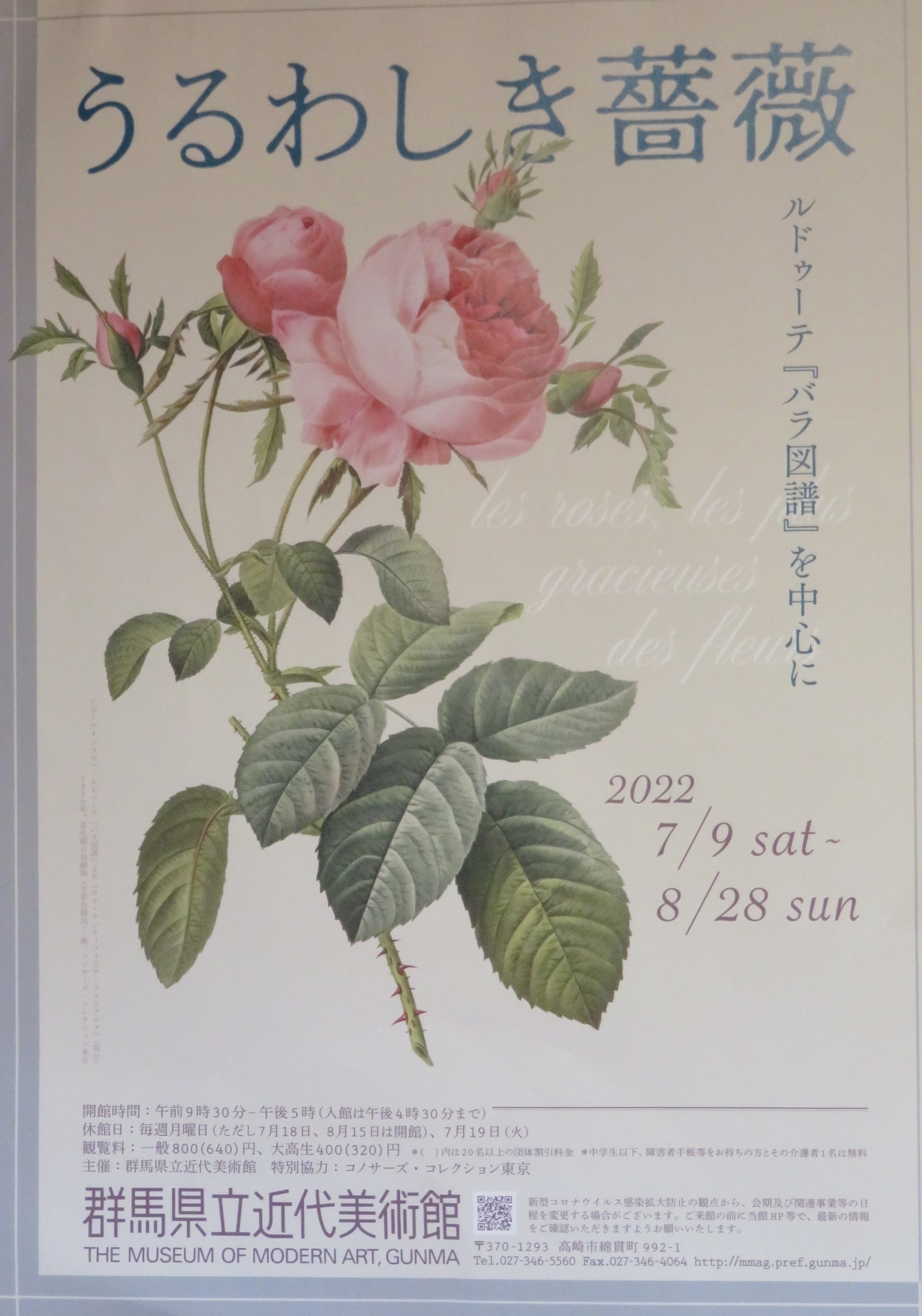 うるわしき薔薇展と岩鼻の花火: 楽老