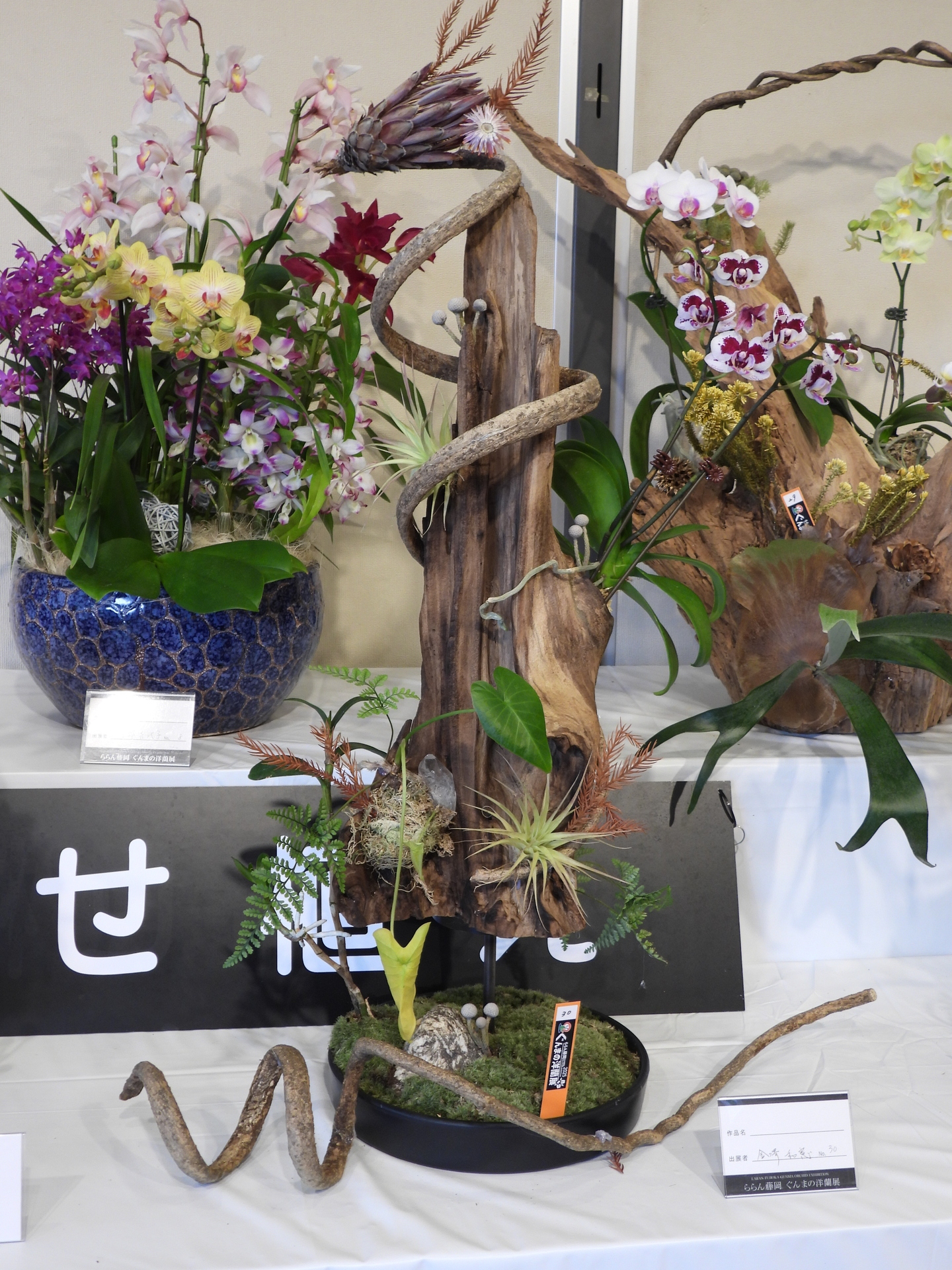 藤岡しんたろう　ぶらんこ 藤岡しんたろう ぶらんこ